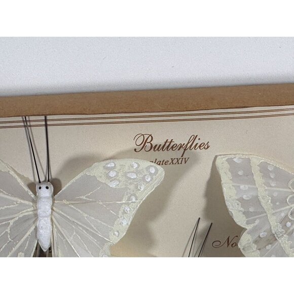 Vintage‎ Set Of 8 by HomArt  White Rice Paper Butterfly Ornaments With Clips - Picture 7 of 8